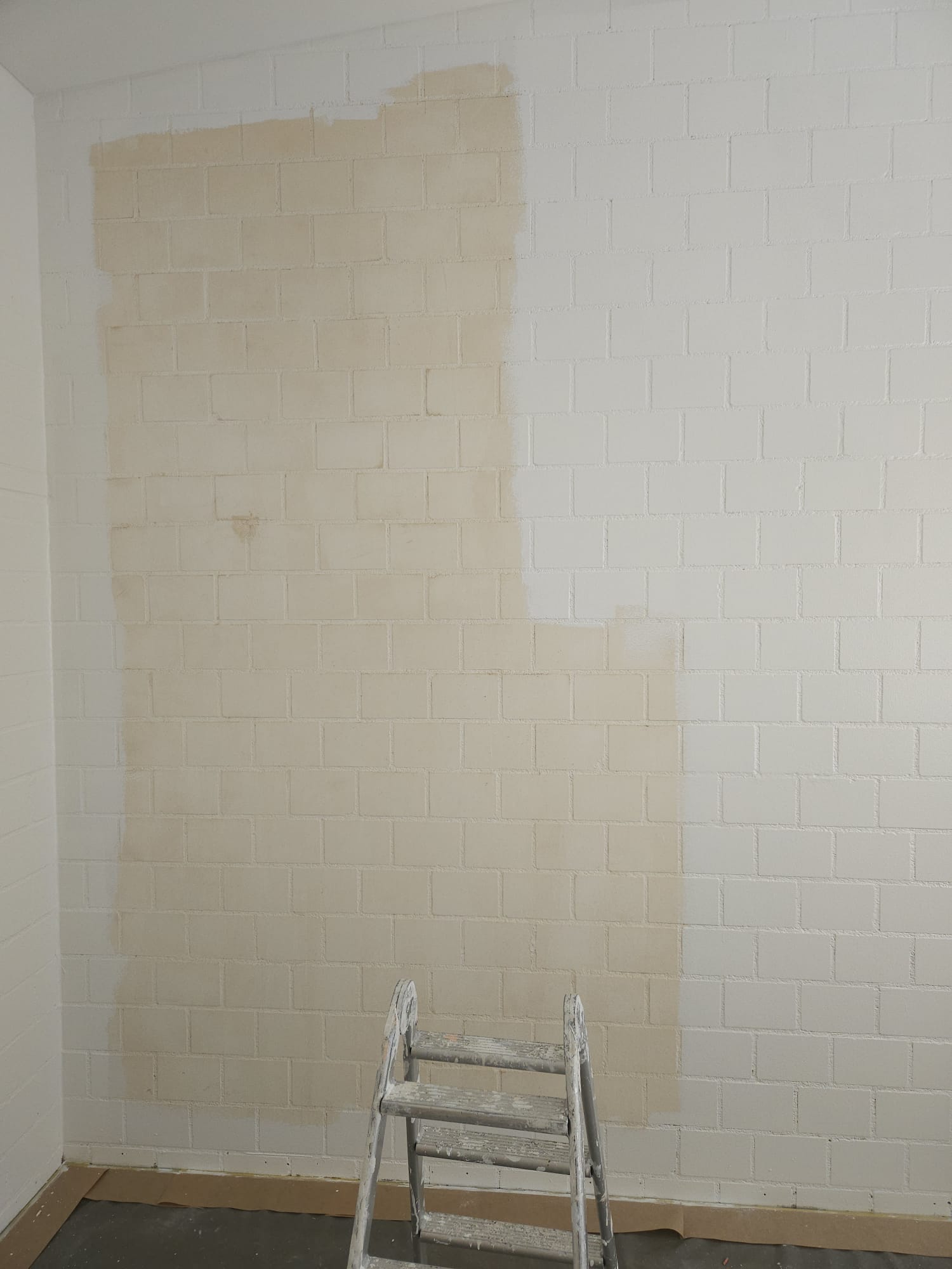 Slikopleskarstvo teren