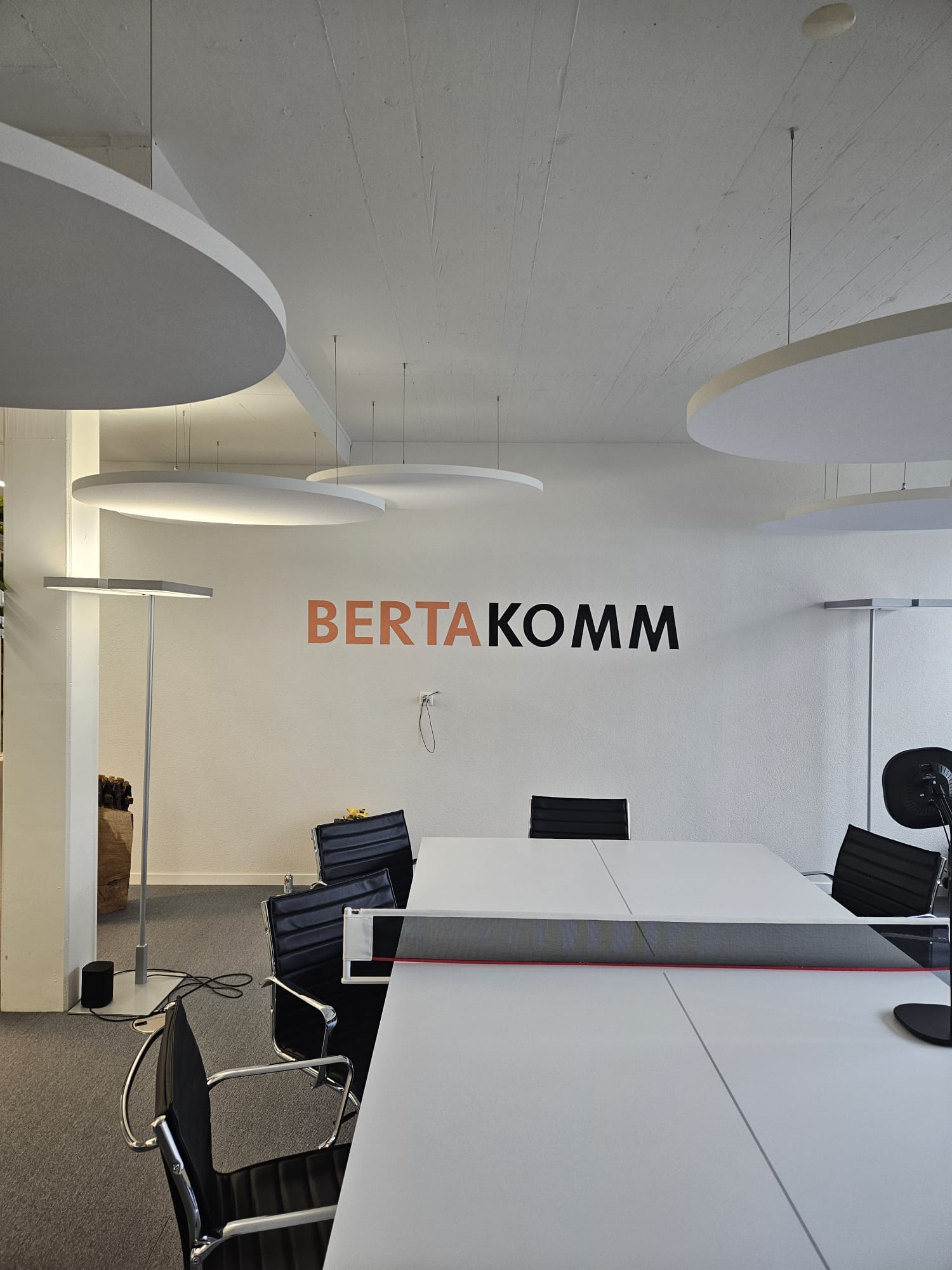 Slikopleskarstvo teren