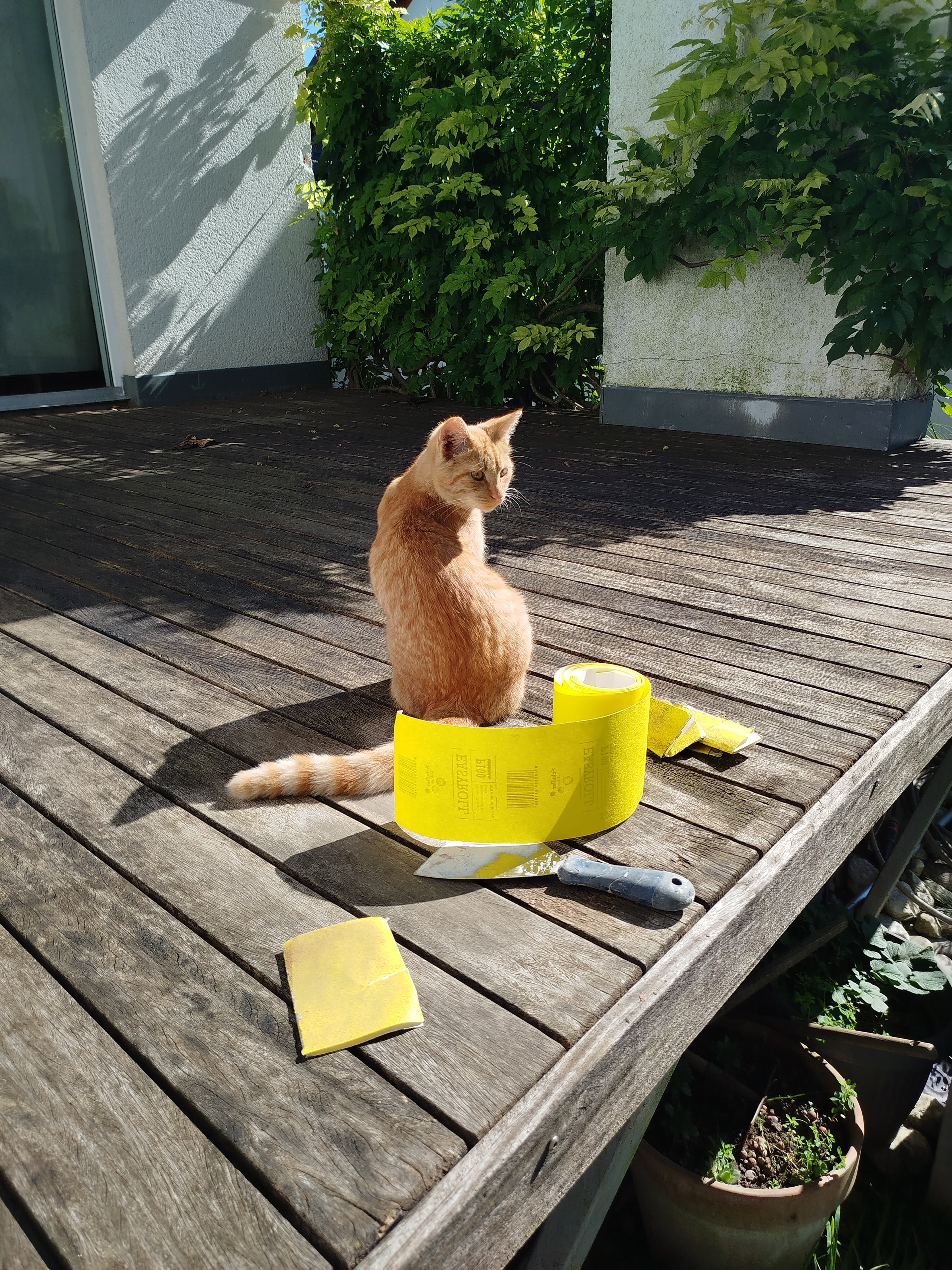 Slikopleskarstvo teren